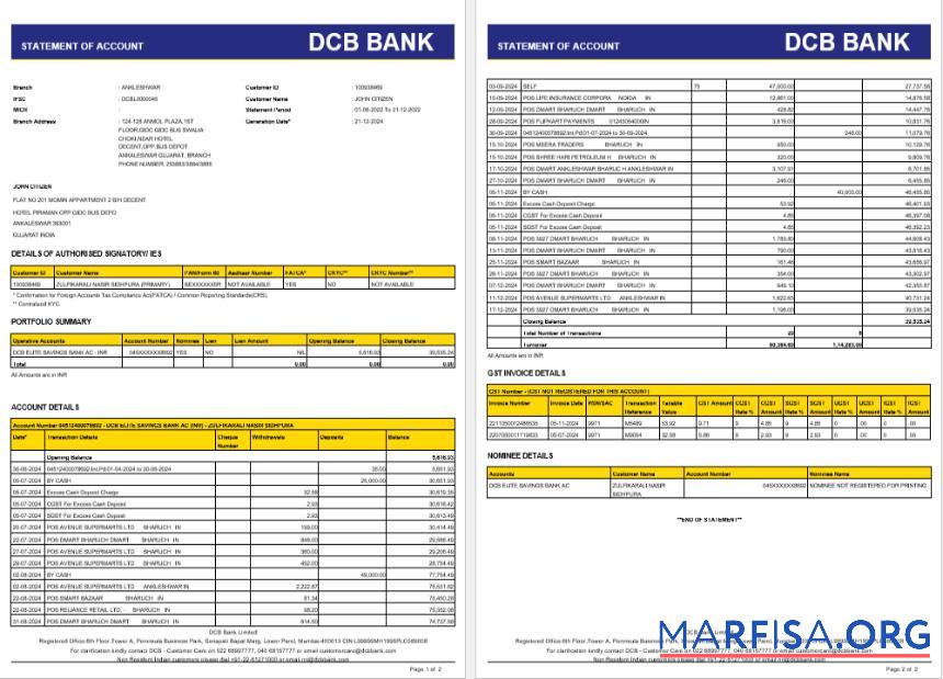 Realistic India DCB bank statement word 2 pages real example